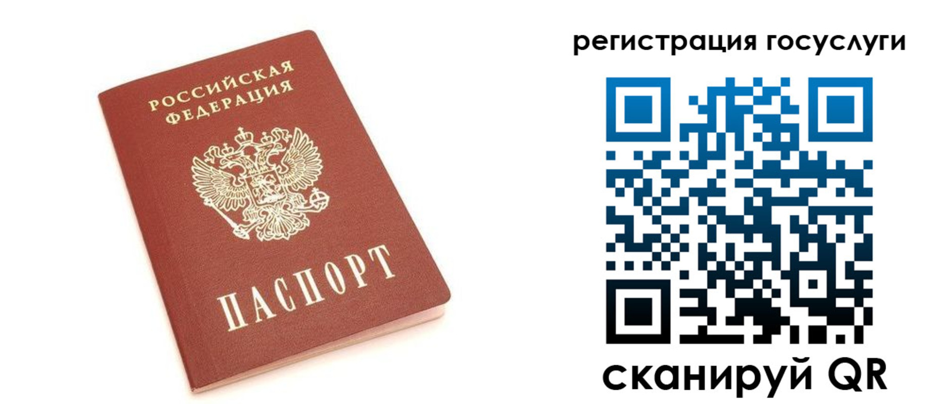 прописка 2025 в Фокино